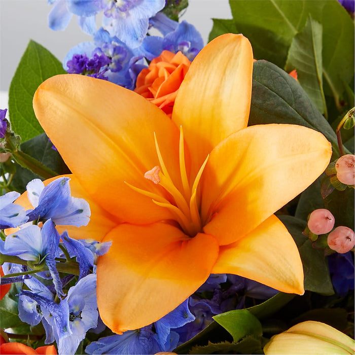 Radiant Citrus Box Bouquet – BUEHLER'S FLORAL, Wooster OH