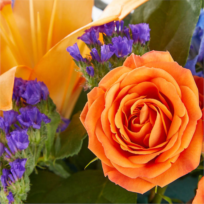 Radiant Citrus Box Bouquet – BUEHLER'S FLORAL, Wooster OH