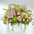 Radiant Embrace Arrangement – BUEHLER'S FLORAL, Wooster OH