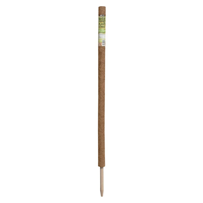 Rally Coco Fibre Plant Stake StrataGreen