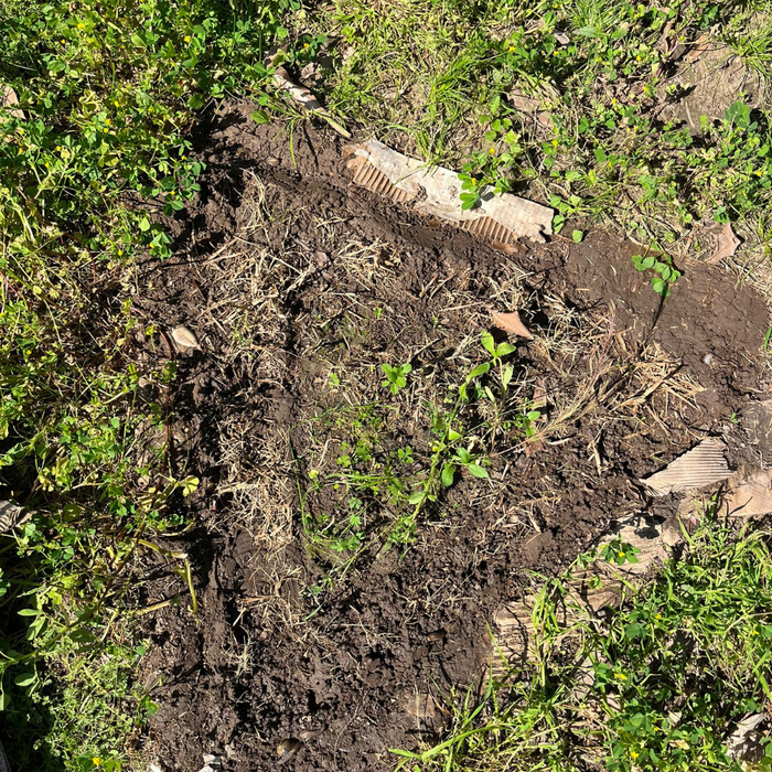 ReHabitat Plant Pod