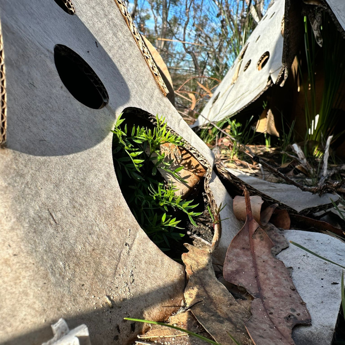 ReHabitat Pod