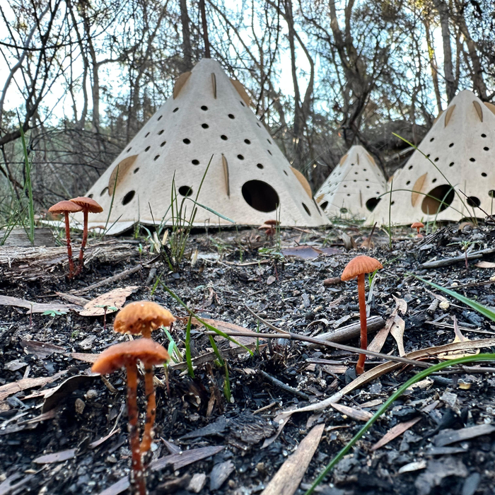 ReHabitat Pod