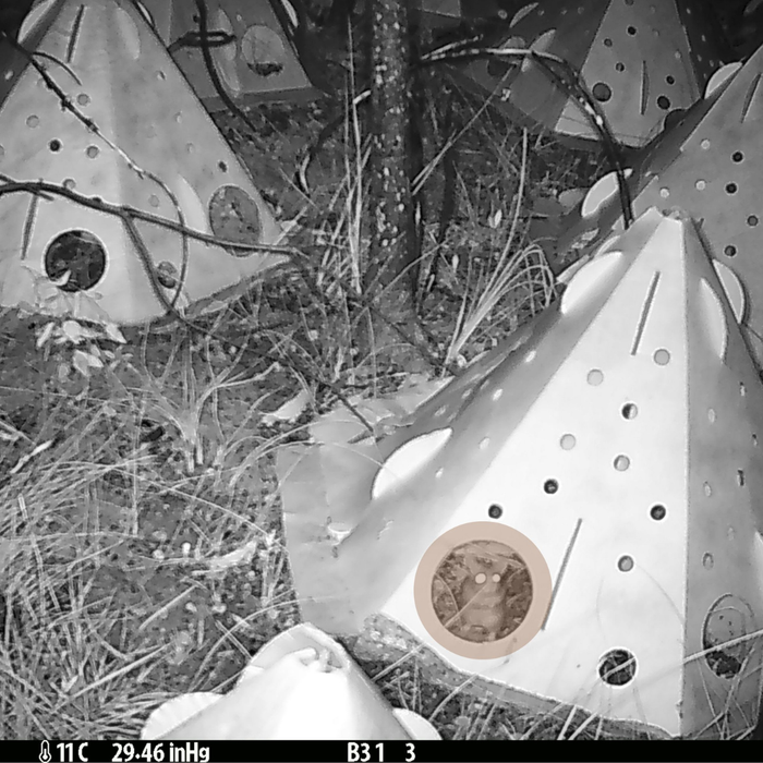 ReHabitat Pod