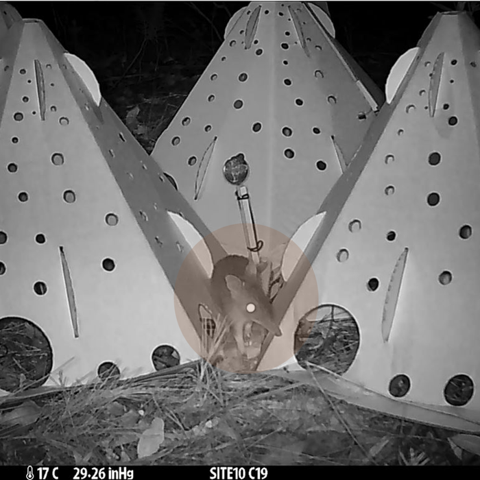 ReHabitat Pod