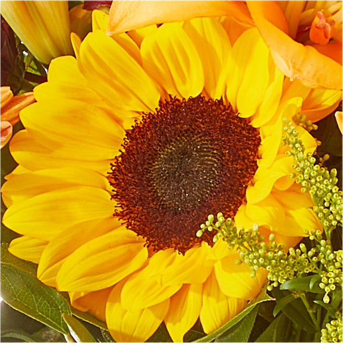 Seasons Change Bouquet – BUEHLER'S FLORAL, Wooster OH