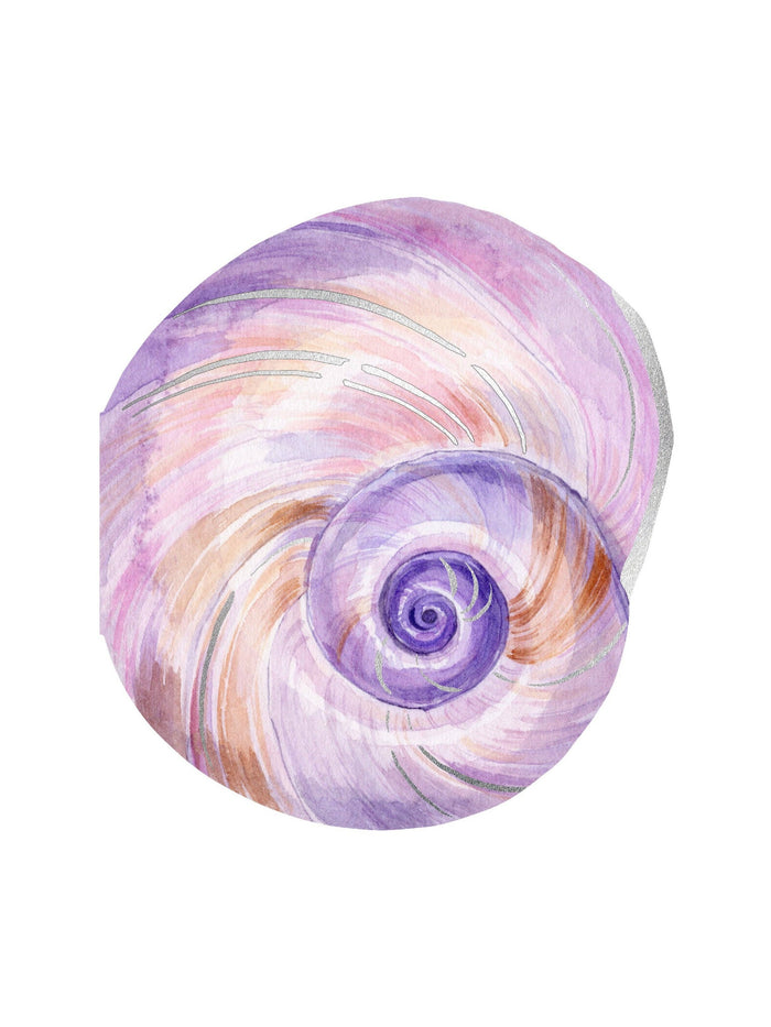 Shell Notes