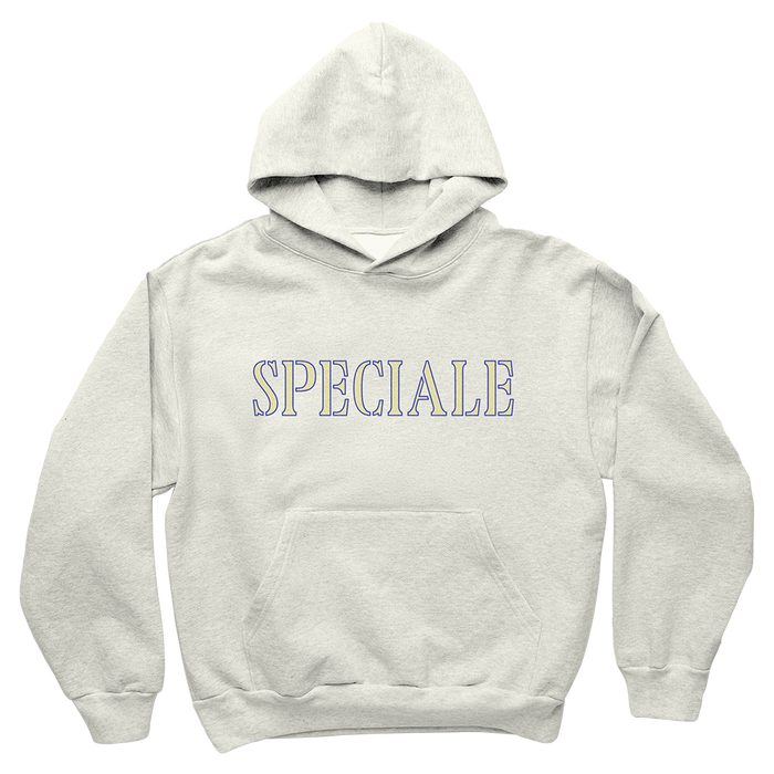 SPECIALE HOODIE WARM GRAY