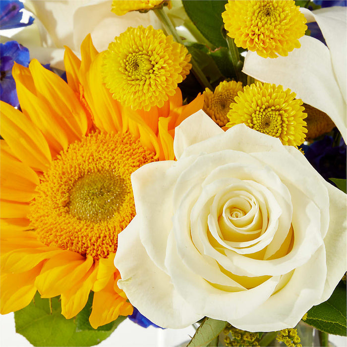 Stargazing Bouquet – BUEHLER'S FLORAL, Wooster OH