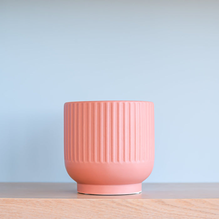 Stella Pot | The Plant Boys