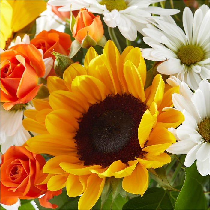Sun-drenched Blooms Bouquet – BUEHLER'S FLORAL, Wooster OH