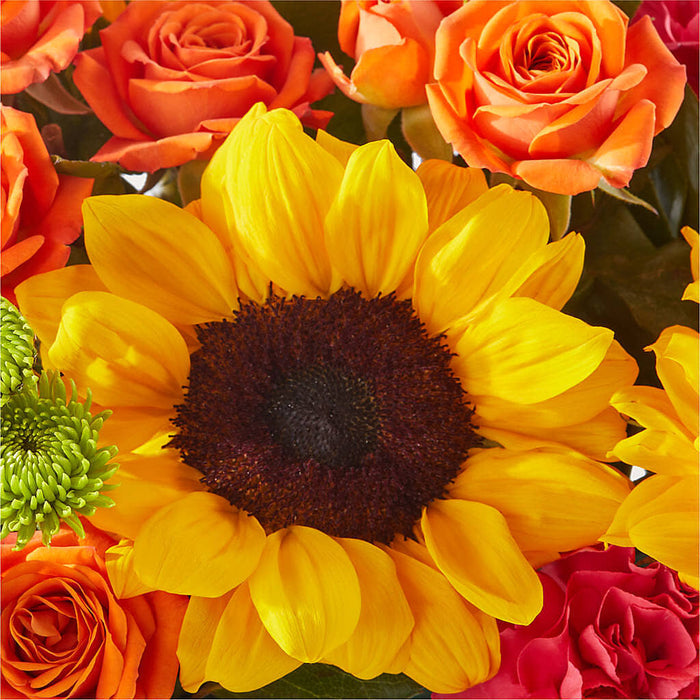 Sun-drenched Blooms Box Bouquet – BUEHLER'S FLORAL, Wooster OH