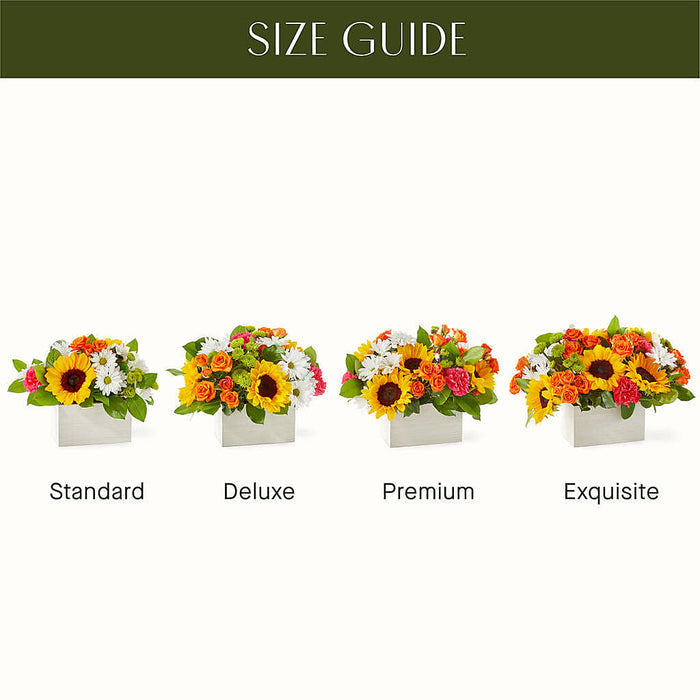 Sun-drenched Blooms Box Bouquet – BUEHLER'S FLORAL, Wooster OH