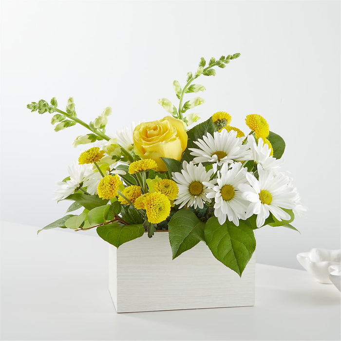 Sun Salutation Box Bouquet – BUEHLER'S FLORAL, Wooster OH