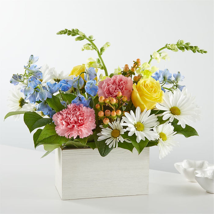 Sun Salutation Box Bouquet – BUEHLER'S FLORAL, Wooster OH
