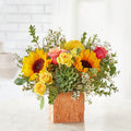 Sunflower Season Bouquet – BUEHLER'S FLORAL, Wooster OH