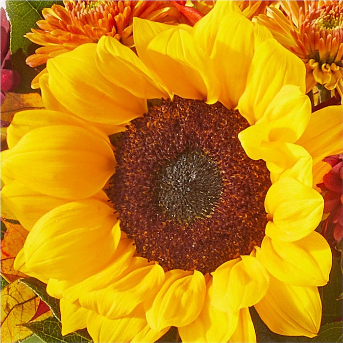 Sunny Side Bouquet – BUEHLER'S FLORAL, Wooster OH