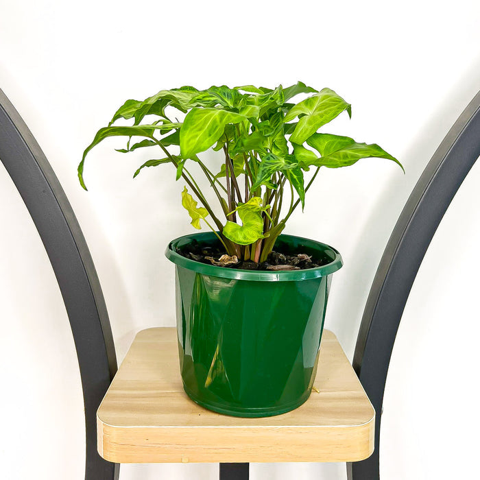 130mm Pot