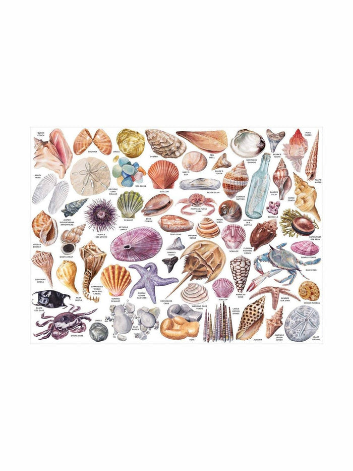 The Beachcomber's Companion 1000 Piece Puzzle With Shaped Pieces,