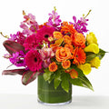 The Mosaic – BUEHLER'S FLORAL, Wooster OH