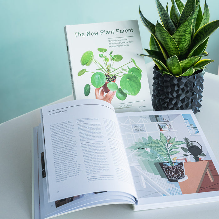 The New Plant Parent | The Plant Boys