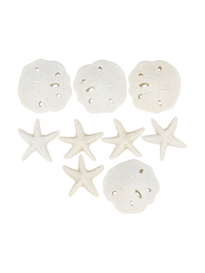 Tic Tac Shells Tabletop Game