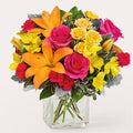 To the Tropics Bouquet – BUEHLER'S FLORAL, Wooster OH