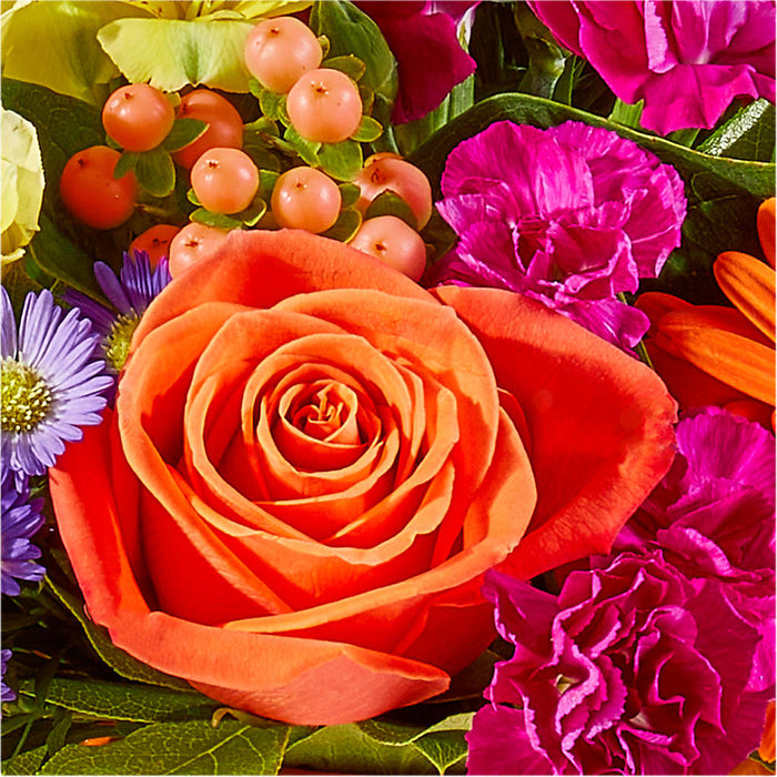 Tricks & Treats Pumpkin – BUEHLER'S FLORAL, Wooster OH