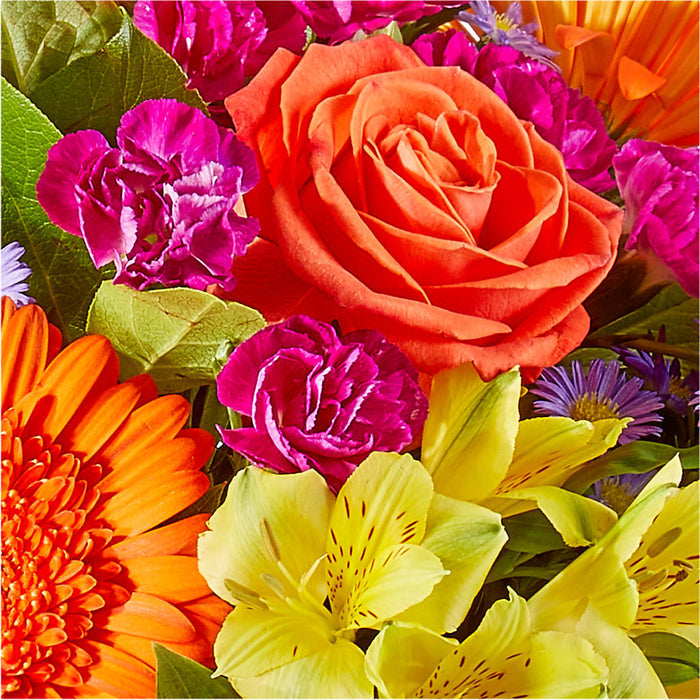 Tricks & Treats Pumpkin – BUEHLER'S FLORAL, Wooster OH