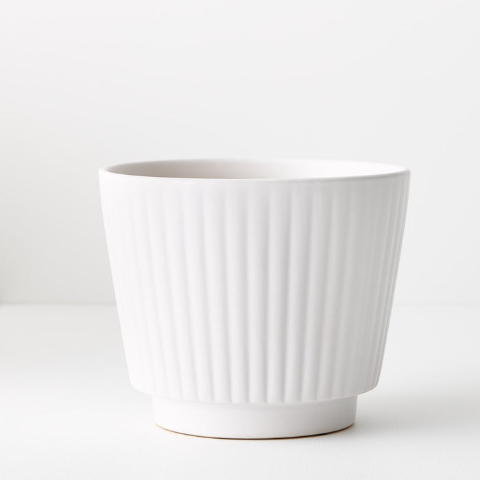 Tuno Pot | The Plant Boys