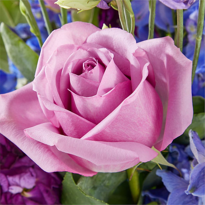 Twilight Glow Bouquet – BUEHLER'S FLORAL, Wooster OH