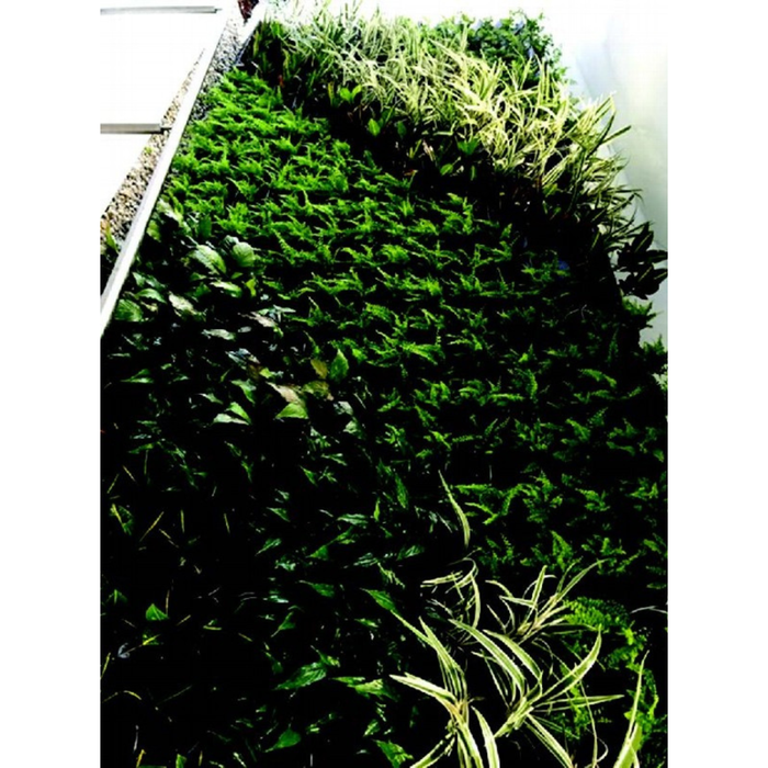 VersiWall GP Planter Tray