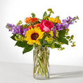 Vibrant Greetings Bouquet – BUEHLER'S FLORAL, Wooster OH
