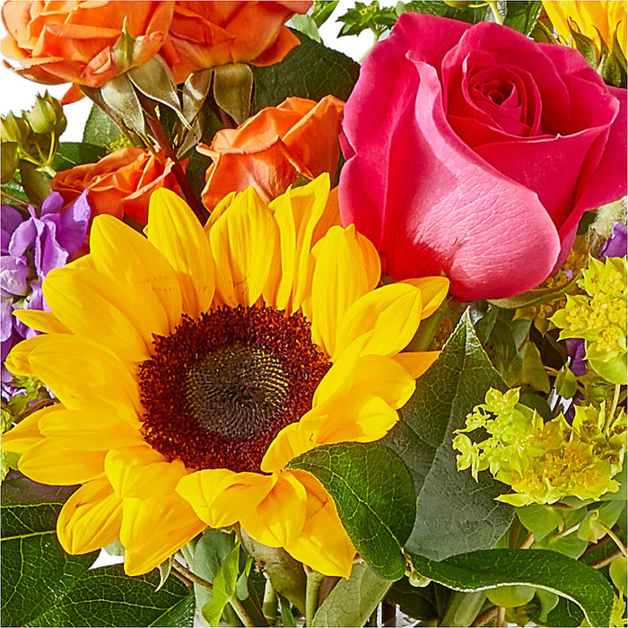 Vibrant Greetings Bouquet – BUEHLER'S FLORAL, Wooster OH