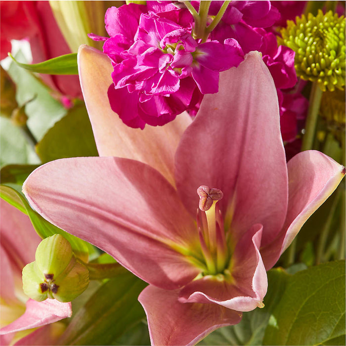 Watermelon Crush Bouquet – BUEHLER'S FLORAL, Wooster OH