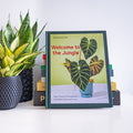 Welcome to the Jungle | The Plant Boys