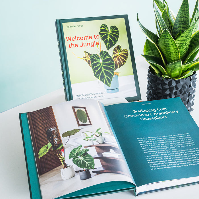Welcome to the Jungle | The Plant Boys