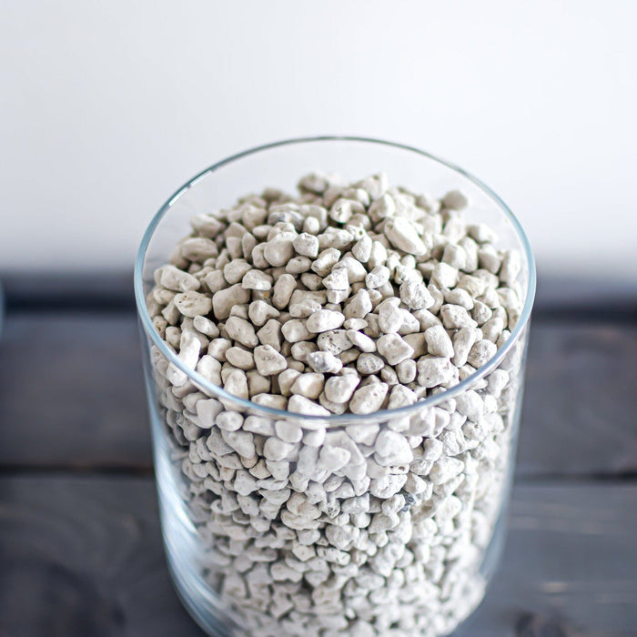 White Pumice (3-6mm) | The Plant Boys